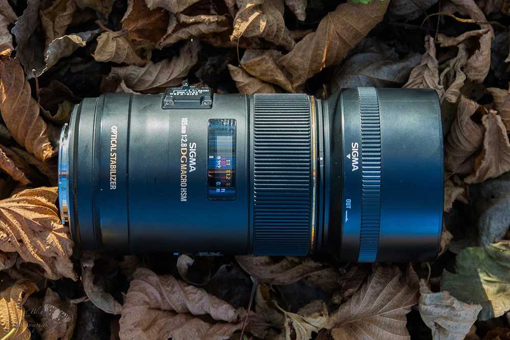 Test Sigma 105mm F2.8 EX DG OS HSM Macro. — Le blog ! Conseils et